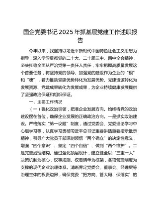 国企党委书记2025年抓基层党建工作述职报告