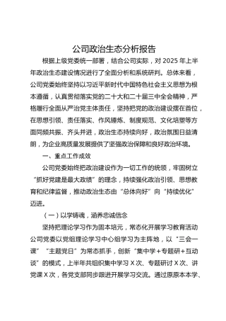 公司政治生态分析报告