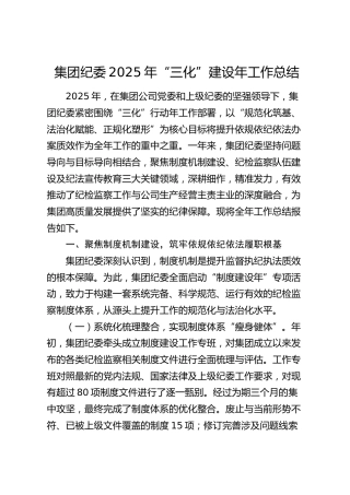 公司纪委2025年“三化”建设年工作总结
