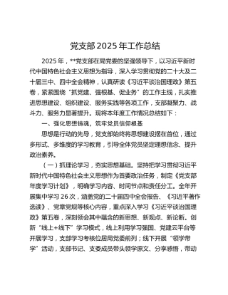 党支部2025年工作总结（党建总结4100字）