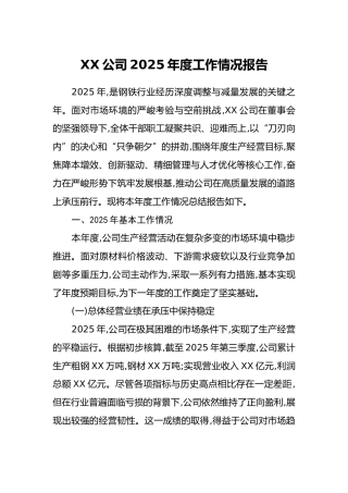 XX公司2025年度工作情况报告