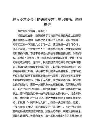 总书记考察山西重要讲话研讨发言：牢记嘱托、感恩奋进（政协）
