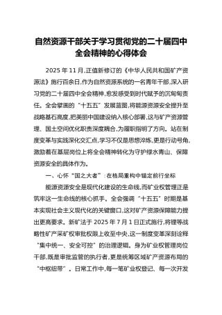 自然资源干部关于学习贯彻党的二十届四中全会精神的心得体会