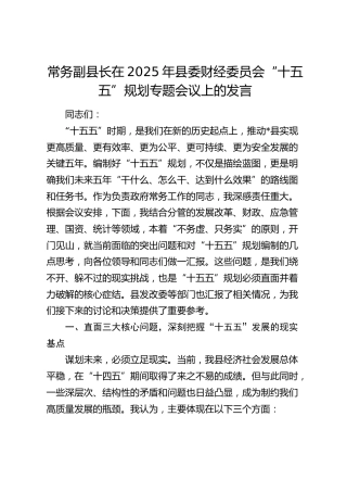 在县委财经委员会“十五五”规划专题会议上的发言（常务副县长）