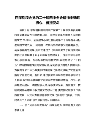 在深刻领会党的二十届四中全会精神中砥砺初心、勇担使命