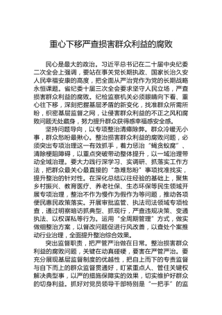 重心下移严查损害群众利益的腐败