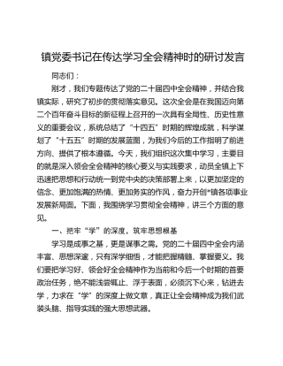 镇党委书记在传达学习四中全会精神时的研讨发言