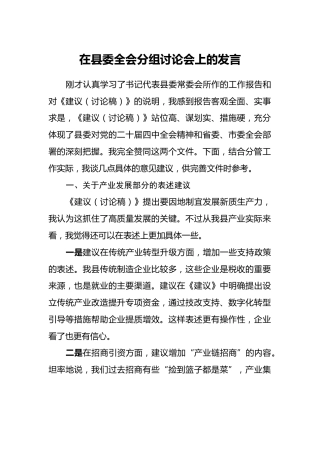 在县委四中全会分组讨论会上的发言_1