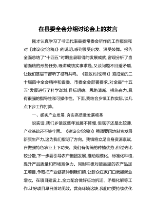 在县委四中全会分组讨论会上的发言