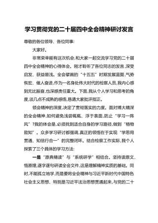 学习贯彻党的二十届四中全会精神研讨发言(1)