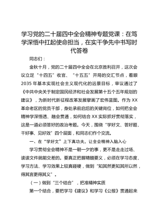 学习党的二十届四中全会精神专题党课：在笃学深悟中扛起使命担当，在实干争先中书写时代答卷