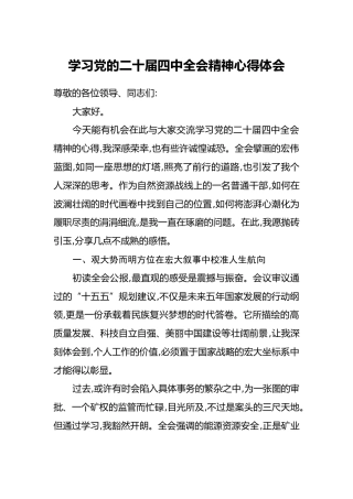 学习党的二十届四中全会精神心得体会（4）