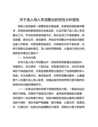 选人用人专项整治党性分析报告4500字