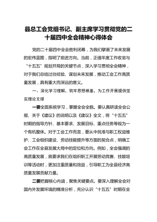 县总工会党组书记、副主席学习贯彻党的二十届四中全会精神心得体会