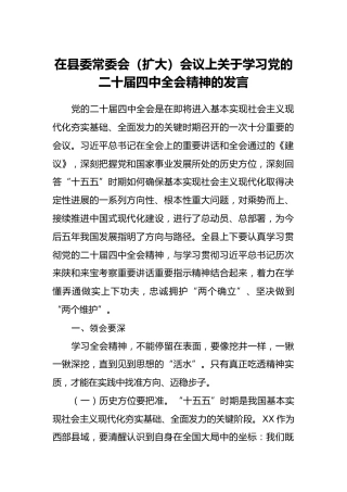 县委书记在县委常委会（扩大）会议上关于学习党的二十届四中全会精神的发言