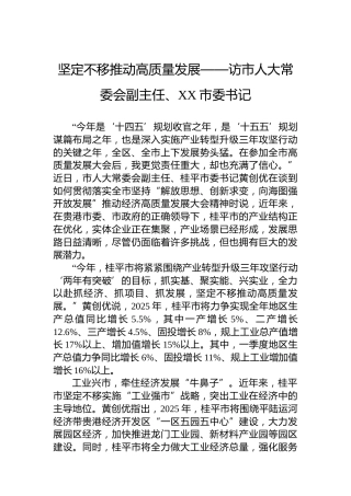 坚定不移推动高质量发展——访市人大常委会副主任、XX市委书记