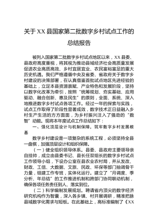关于XX县国家第二批数字乡村试点工作的总结报告