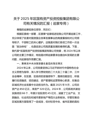 关于2025年区国有资产投资控股集团有限公司有关情况的汇报（巡察专用）