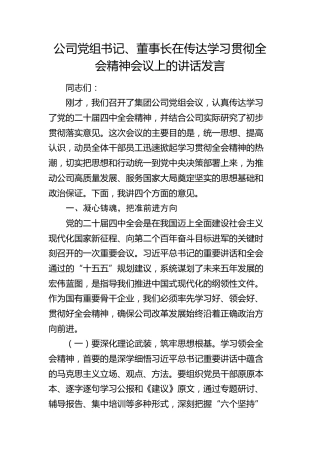 公司党组书记、董事长在传达学习贯彻四中全会精神会议上的讲话发言