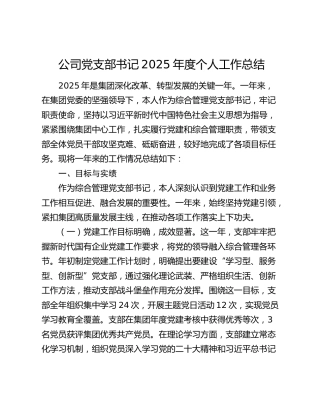 公司党支部书记2025年度个人工作总结