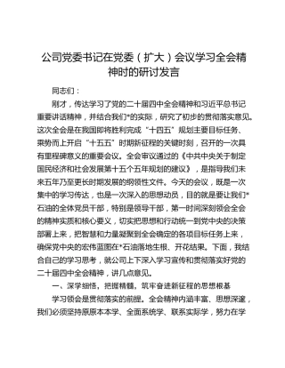 公司党委书记在党委（扩大）会议学习四中全会精神时的研讨发言