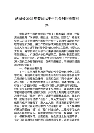 副局长2025年专题民主生活会对照检查材料