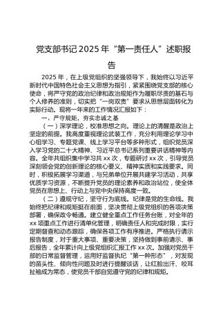 党支部书记2025年“第一责任人”述职报告