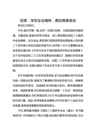 党课：深学四中全会精神勇担青春使命
