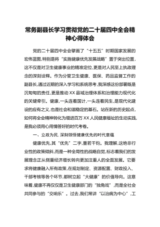 常务副县长学习贯彻党的二十届四中全会精神心得体会