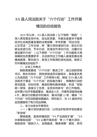 XX县人民法院关于“六个行动”工作开展情况的总结报告