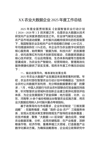 XX农业大数据企业2025年度工作总结