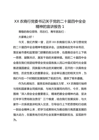 XX农商行党委书记关于党的二十届四中全会精神的宣讲报告1