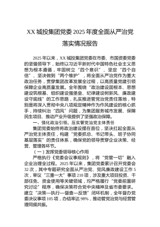 XX城投集团党委2025年度全面从严治党落实情况报告