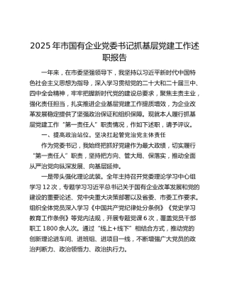 2025年市国有企业党委书记抓基层党建工作述职报告