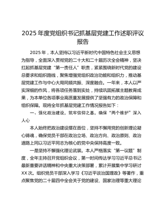 2025年度党组织书记抓基层党建工作述职评议报告