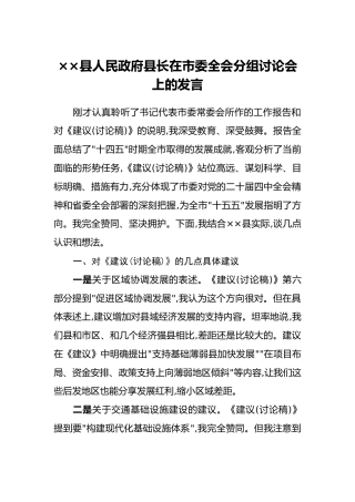 ××县人民政府县长在市委四中全会分组讨论会上的发言