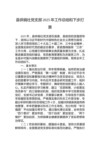 县供销社党支部2025年工作总结和下步打算