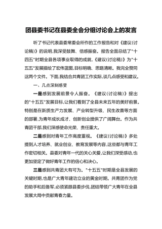 团县委书记在县委四中全会分组讨论会上的发言