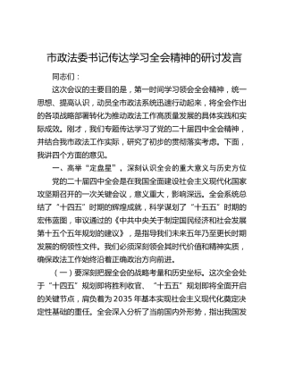 市政法委书记传达学习四中全会精神的研讨发言