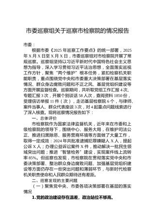 市委巡察组关于巡察市检察院的情况报告