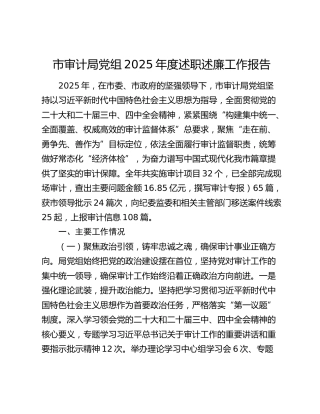 市审计局党组2025年度述职述廉工作报告