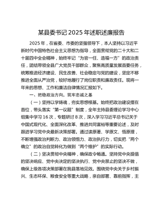 某县委书记2025年述职述廉报告
