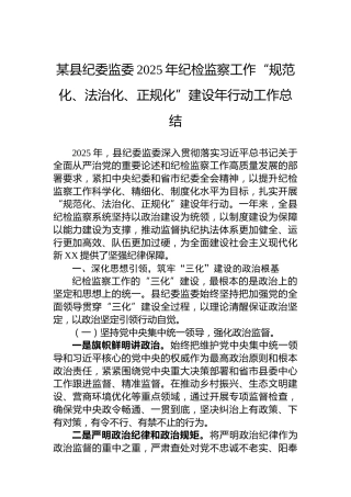 某县纪委监委2025年纪检监察工作“规范化、法治化、正规化”建设年行动工作总结