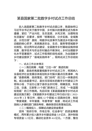 某县国家第二批数字乡村试点工作总结