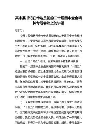某市委书记在传达贯彻的二十届四中全会精神专题会议上的讲话
