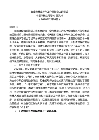 最新讲话系列第471期十堰市林业局局长王洪林：在全市林业半年工作总结会上的讲话