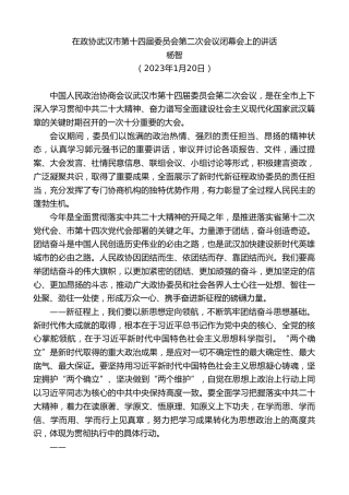 最新讲话系列第5421期杨智：在政协武汉市第十四届委员会第二次会议闭幕会上的讲话