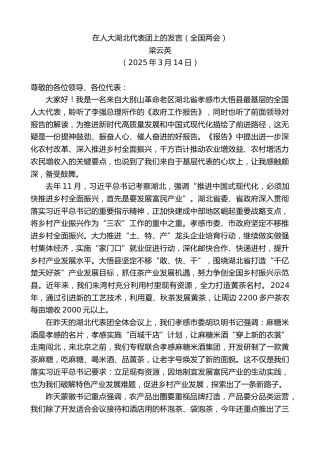 最新讲话系列第12017期梁云英：在人大湖北代表团上的发言（全国两会）