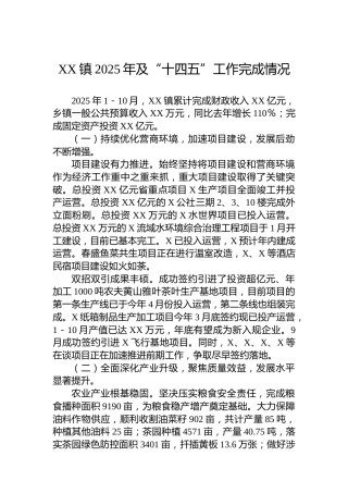 XX镇2025年及“十四五”工作完成情况