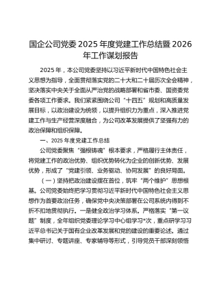 国企公司党委2025年度党建工作总结暨2026年工作谋划报告